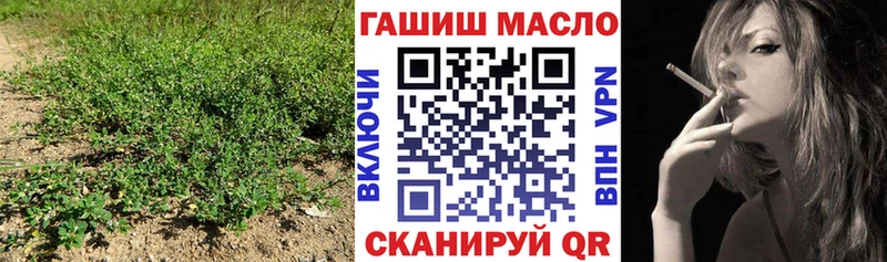 Купить  Лодейное Поле  Дистиллят ТГК THC oil 